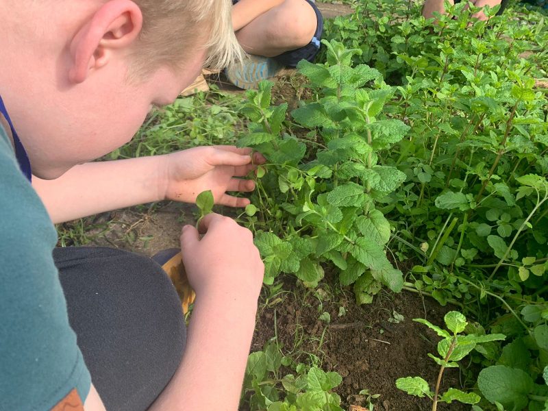 escolas de joinville