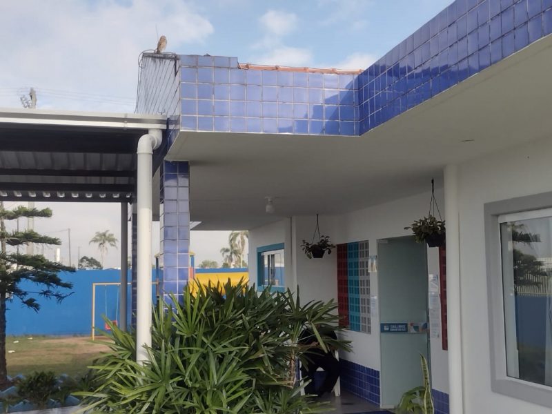 No telhado da escola, a coruja observa seus filhotes no ninho – Foto: Luis Gustavo Varela