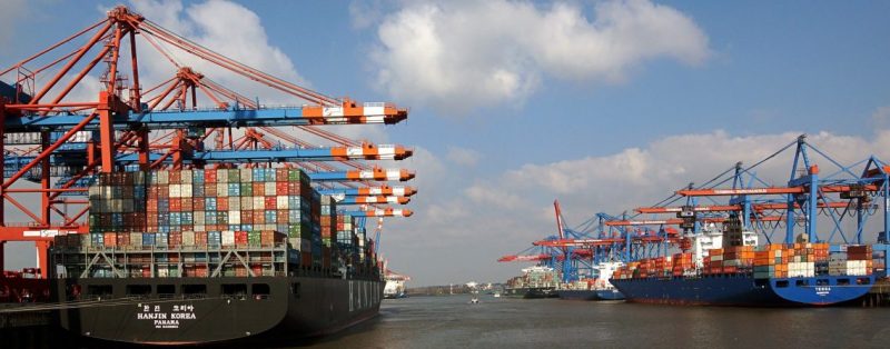 N&uacute;meros s&atilde;o da Associa&ccedil;&atilde;o Brasileira de Prote&iacute;na Animal – Foto: ABPA/ND