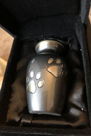 Pet foi cremado e colocado em uma urna – Foto: Lisa Murray-Lang/Divulga&ccedil;&atilde;o