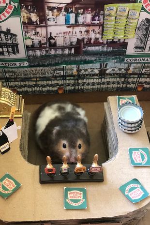 Dona do pet tirava foto dele em pontos tur&iacute;sticos feitos de papel&atilde;o – Foto: Lisa Murray-Lang/Divulga&ccedil;&atilde;o