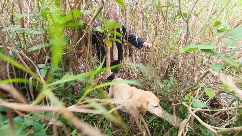 Idosa foi resgatada ap&oacute;s a&ccedil;&atilde;o com c&atilde;o de busca – Foto: CBMSC/Reprodu&ccedil;&atilde;o/ND
