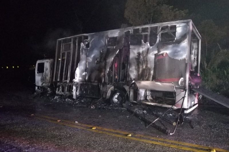 Dois cavalos morreram no inc&ecirc;ndio na SC-418 – Foto: PMRv/Divulga&ccedil;&atilde;o