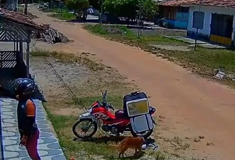 A cena chamou aten&ccedil;&atilde;o na internet. – Foto: Internet/Reprodu&ccedil;&atilde;o/ND