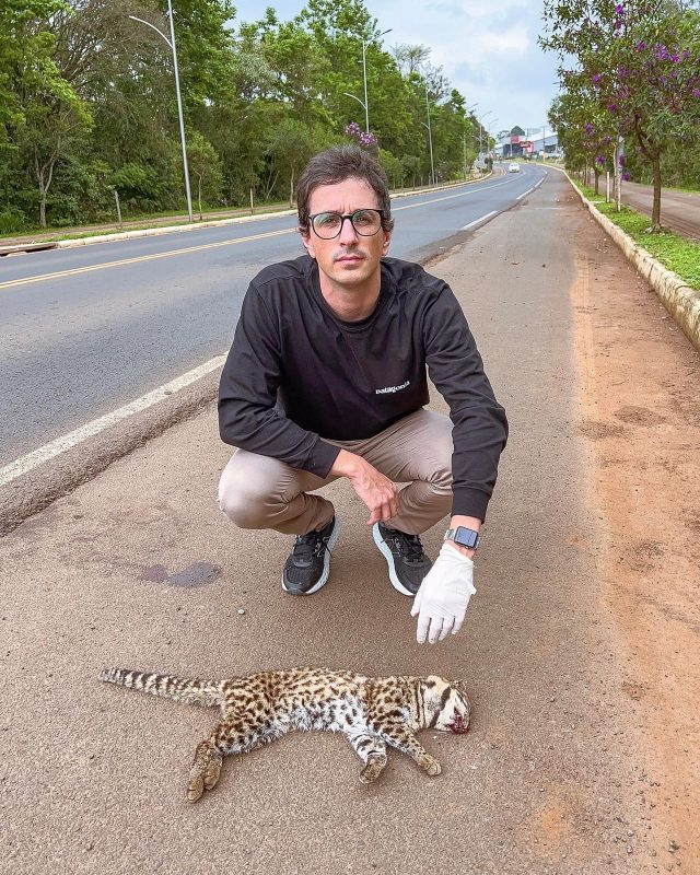 Jackson Preuss recolheu o animal. – Foto: Jackson Preuss/Divulga&ccedil;&atilde;o/ND