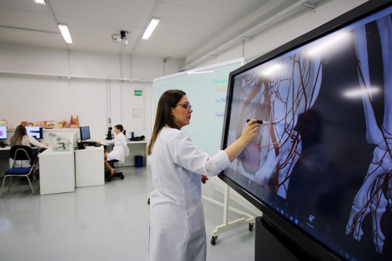 O curso conta com mais de 350 estudantes em forma&ccedil;&atilde;o – Foto: Unidavi/Divulga&ccedil;&atilde;o