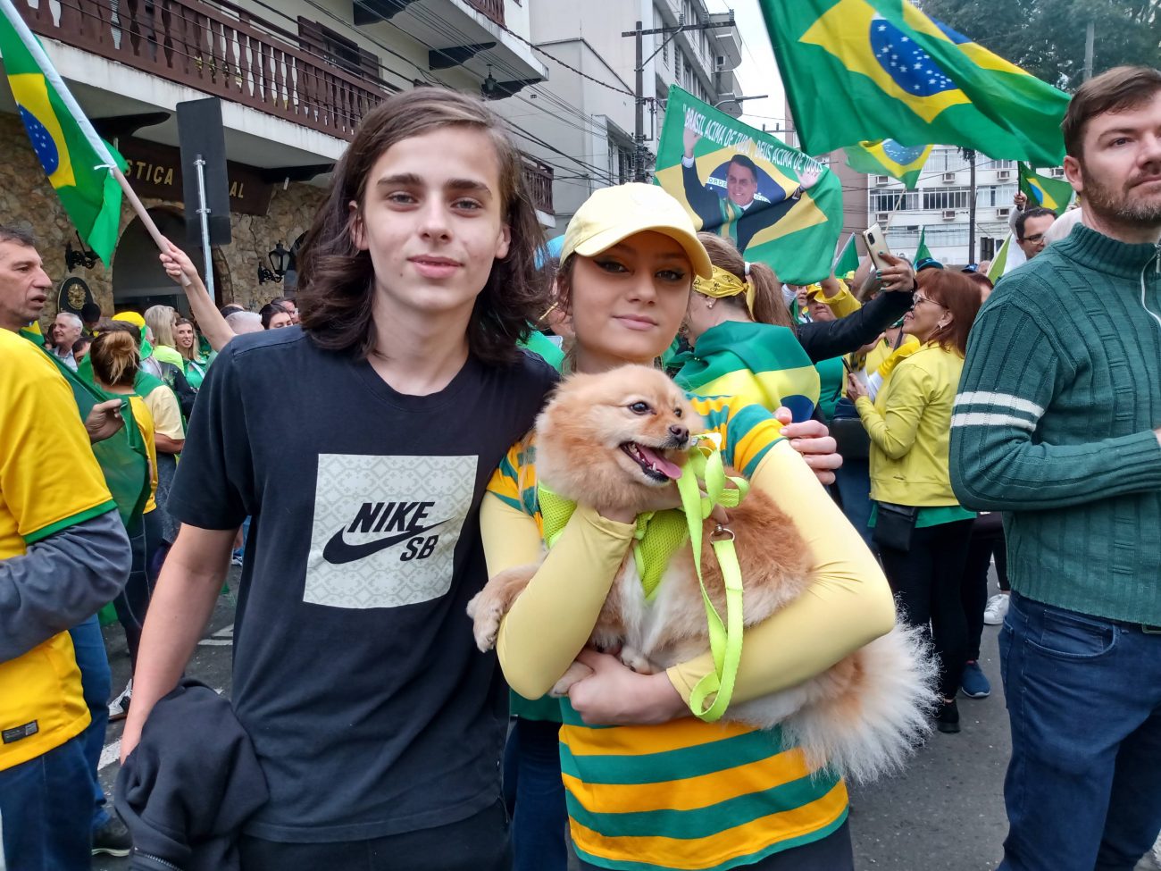 Cachorros engraçados da semana maio de 2016 - Edenvet - Centro