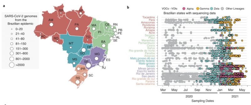 Pesquisa detalha din&acirc;micas de circula&ccedil;&atilde;o do Sars-CoV-2 no Brasil – Foto: Fiocruz/Reprodu&ccedil;&atilde;o/ND