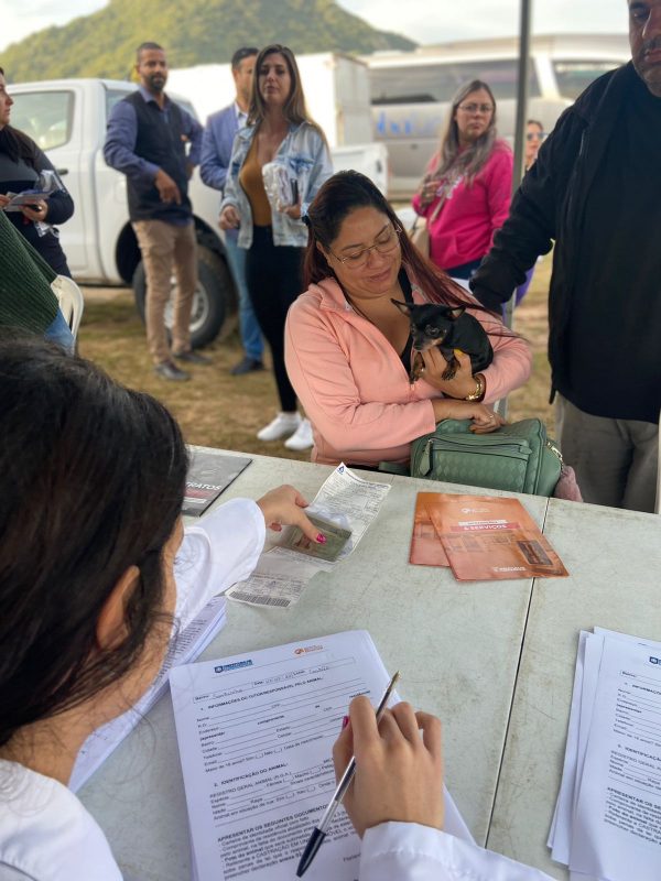 O &oacute;rg&atilde;o tamb&eacute;m realiza castra&ccedil;&otilde;es em sua sede e, no momento, promove ainda mutir&otilde;es para a esteriliza&ccedil;&atilde;o dos animais – Foto: Divulga&ccedil;&atilde;o
