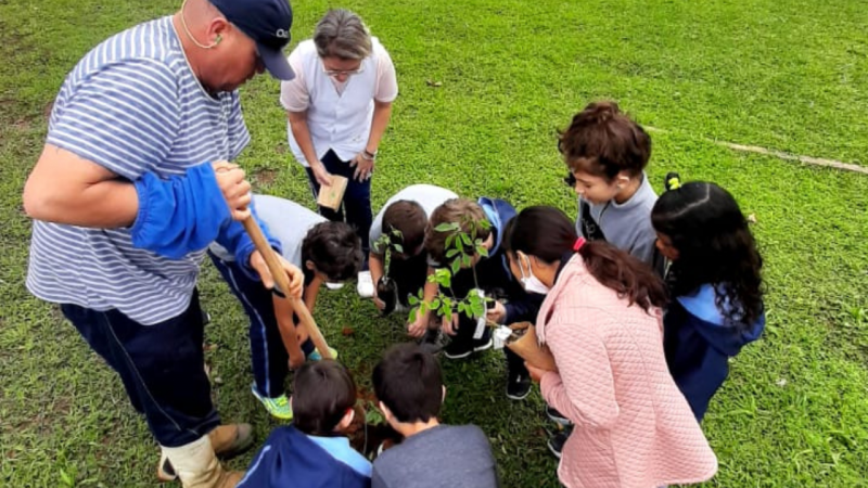 Alunos de Joinville plantam mudas no pátio da escola para celebrar o Dia da Árvore em projeto ambiental