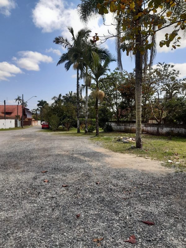 Terreno de Eduardo, que fica no bairro Bom Retiro – Foto: Eduardo Ziemann/Divulga&ccedil;&atilde;o/ND
