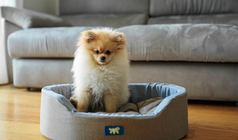 Decis&atilde;o aconteceu no Extremo-Oeste de SC &mdash; Foto: Imagem ilustrativa/ND