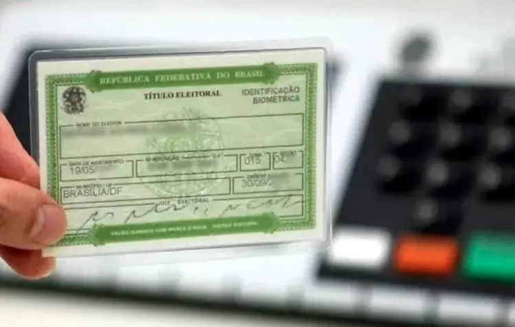 perfil do eleitor de joinville