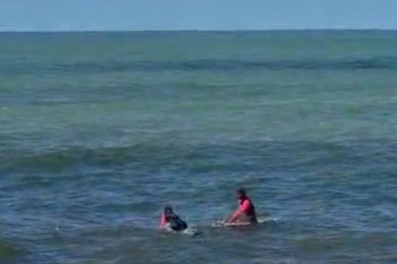 Tartaruga presa em rede foi salva por surfistas – Foto: Internet/Reprodu&ccedil;&atilde;o