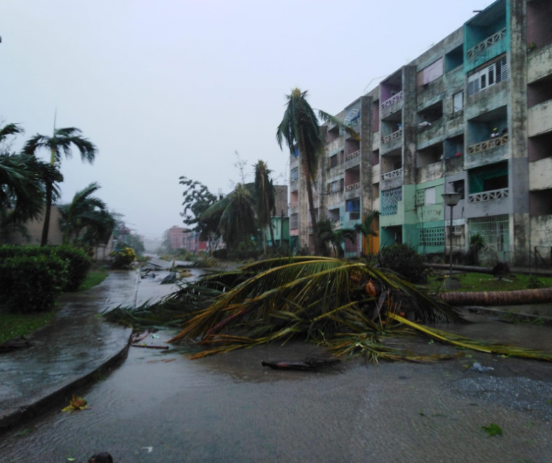 Ventos e chuva derrubaram &aacute;rvores em Cuba – Foto: Reprodu&ccedil;&atilde;o/F&aacute;tima Rivera Amador/Internet/ND