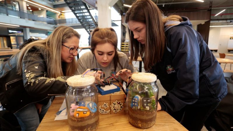 alunas participam de programa de tecnologia