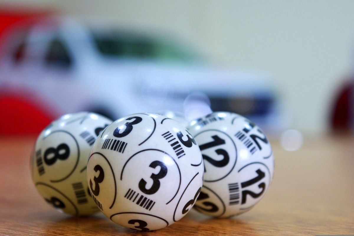 Speed Loto - Aposte Online nas Loterias da Caixa Econômica Federal Sem Sair  de Casa