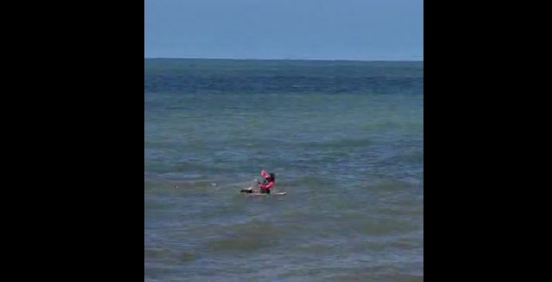 Tartaruga &eacute; resgatada no Litoral Norte de SC – Foto: Internet/Reprodu&ccedil;&atilde;o/ND