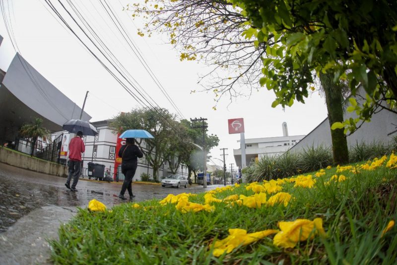 Chuva deve ser registrada em alguns per&iacute;odos do fim de semana – Foto: Carlos Junior/ND