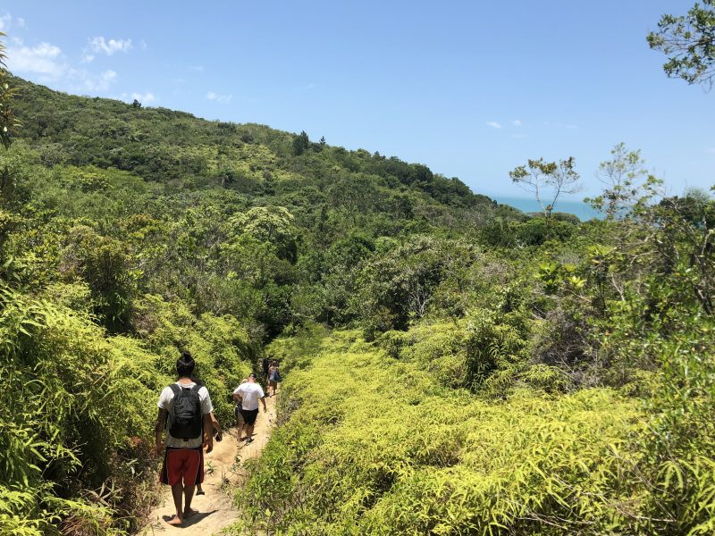 As melhores trilhas em Canhanduba, Santa Catarina (Brasil)