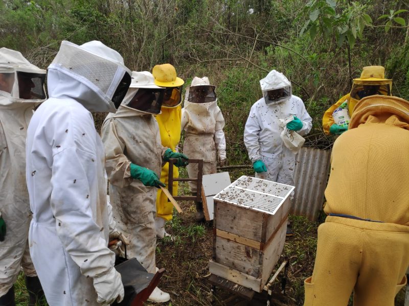 urso foi fundamental para aprofundar t&eacute;cnicas e pr&aacute;ticas que visam aumentar a produtividade e a competitividade – Foto: MB Comunica&ccedil;&atilde;o/ND