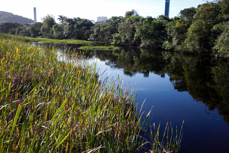 &Aacute;rea assoreada da Lagoinha do Norte – Foto: Leo Munhoz/ND