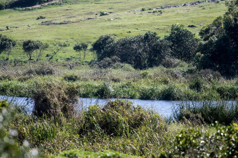Lagoa do Jacar&eacute; – Foto: Leo Munhoz/ND