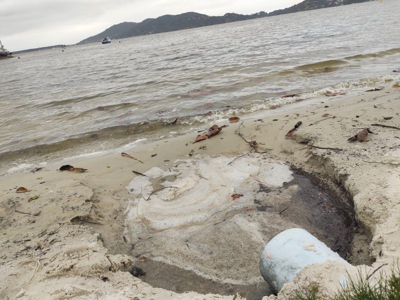 Lagoa da Concei&ccedil;&atilde;o na regi&atilde;o da Avenida Rendeiras – Foto: Felipe Bottamedi/ND