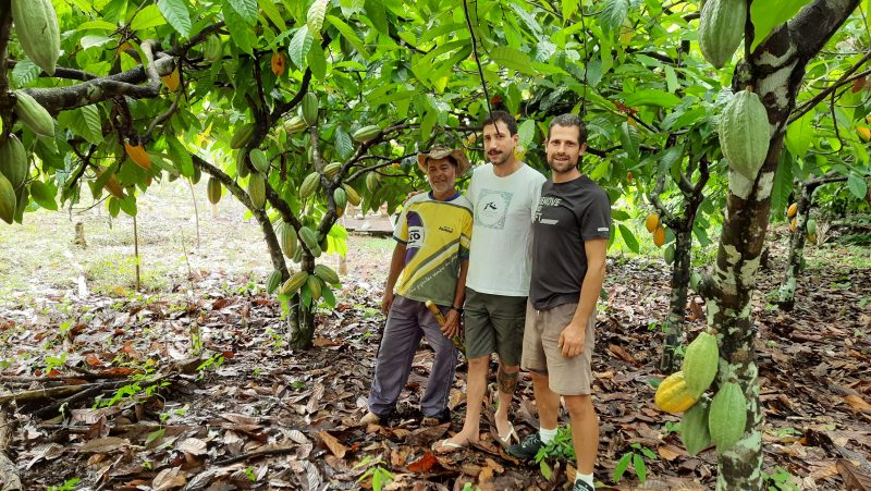 Producer Ze Antonio, along with Guilherme Bortoli and Filipe Carniel, founders of Invento, on a shaded cocoa plantation - Photo: Invento Chocolates/Disclosure/ND
