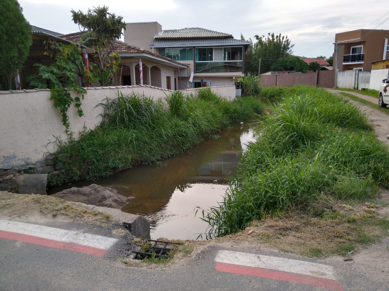 Encontro de curso d’&aacute;gua que abastece a Lagoinha do Norte – Foto: Felipe Bottamedi/ND