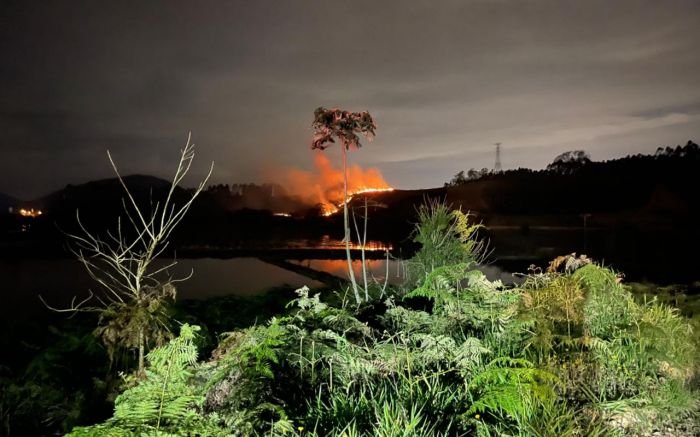 Inc&ecirc;ndio destruiu mais de 20 mil m&sup2; de mata nativa em Itaja&iacute; – Foto: Reprodu&ccedil;&atilde;o/Divulga&ccedil;&atilde;o