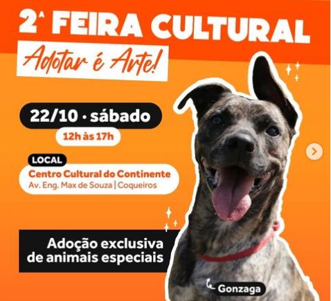 Neste s&aacute;bado (22), no Centro Cultural do Continente, apenas animais com algum tipo de defici&ecirc;ncia estar&atilde;o dispon&iacute;veis para ado&ccedil;&atilde;o – Foto: Reprodu&ccedil;&atilde;o/Redes Sociais