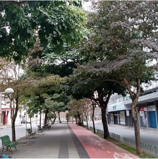 Trecho da Avenida Herc&iacute;lio Luz, no Centro de Florian&oacute;polis – Foto: Fabio Gadotti/ND