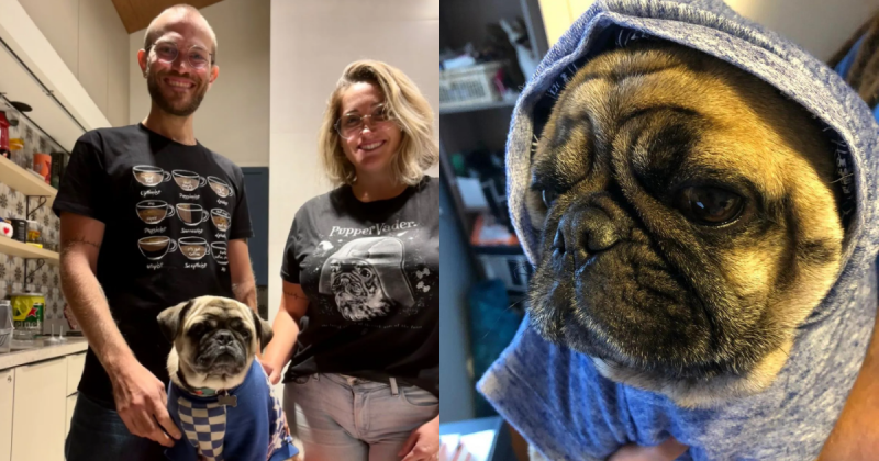 Casal deixa cachorro com a fam&iacute;lia para viajar o mundo – Foto: Sem Chaves/Reprodu&ccedil;&atilde;o/ND