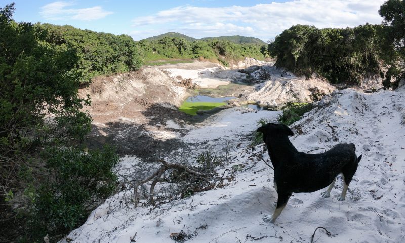 Estrutura da Casan nas dunas – Foto: Leo Munhoz/ND