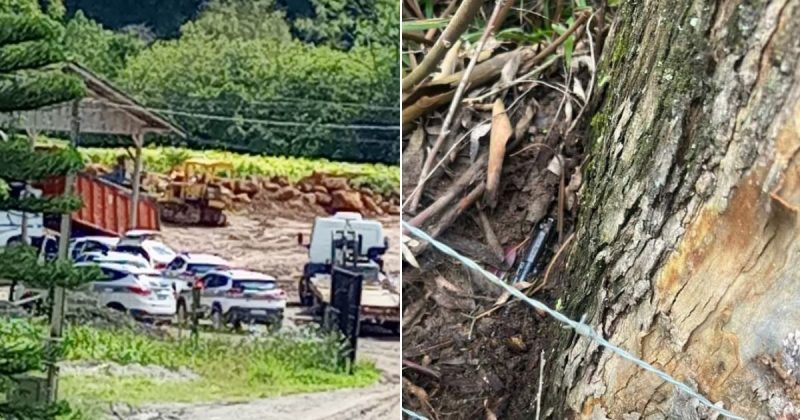 Homens que agrediram PM ap&oacute;s den&uacute;ncia de perturba&ccedil;&atilde;o do sossego em SC s&atilde;o presos – Foto: Divulga&ccedil;&atilde;o/ND