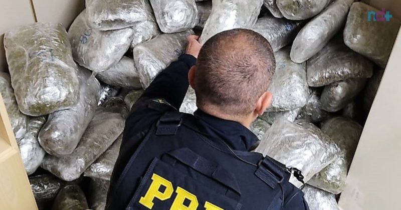 ‘Super maconha’ estava escondido em fundo falso de caminh&atilde;o – Foto: PRF/Divulga&ccedil;&atilde;o