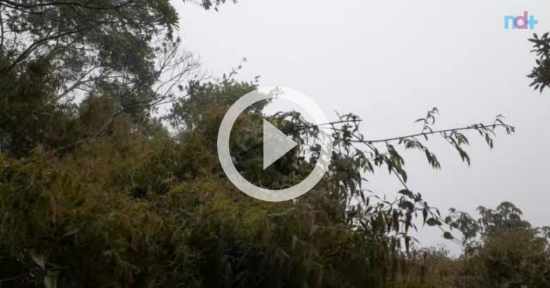 Ventos causaram barulho assustador em Florian&oacute;polis – Foto: Beatriz Carrasco/ND