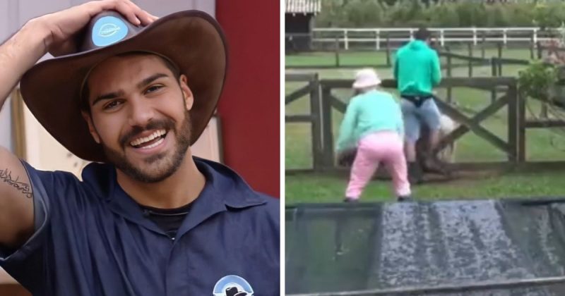 Shay chutou porquinhos ao tentar impedir que eles fugissem e foi duramente criticado na internet – Foto: Record TV/Playplus/Internet/Reprodu&ccedil;&atilde;o