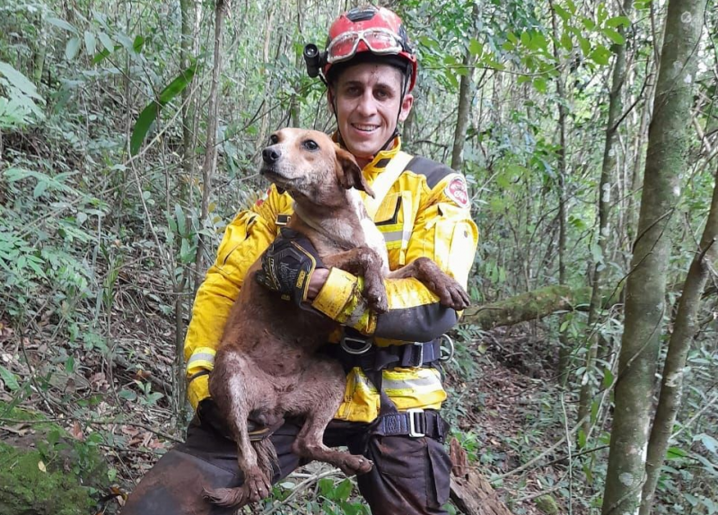 O c&atilde;o foi resgatado pelos bombeiros, ap&oacute;s latir e chamar aten&ccedil;&atilde;o. &mdash; Foto: Corpo de Bombeiros/Reprodu&ccedil;&atilde;o/ND