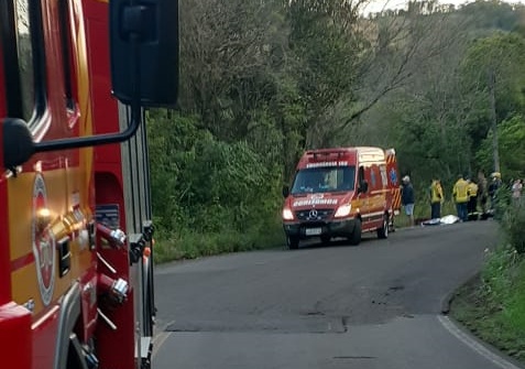 O homem passava pela via quando foi surpreendido pelo animal e colidiu. – Foto: Corpo de Bombeiros/Reprodu&ccedil;&atilde;o/ND