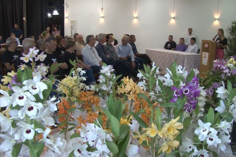 82&ordf; Festa das Flores foi oficialmente lan&ccedil;ada na manh&atilde; desta quinta-feira (27) – Foto: Adriano Mendes/NDTV