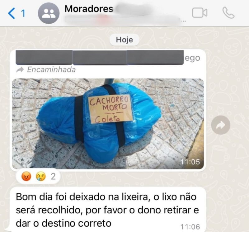 Caso viralizou nas redes sociais ap&oacute;s ser colocada em grupo de WhatsApp – Foto: Internet/Reprodu&ccedil;&atilde;o