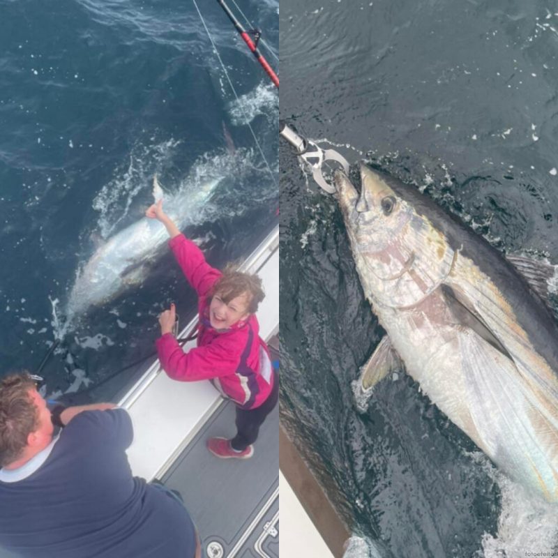 Abate do atum-azul &eacute; proibido por lei no Reino Unido – Foto: @4tunacharters/Reprodu&ccedil;&atilde;o/ND