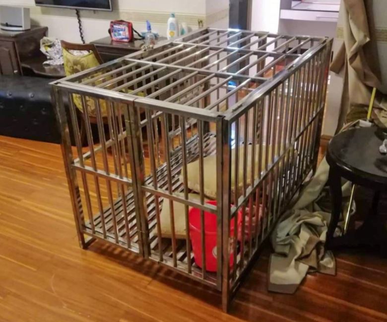 Gaiola onde mulher ficou presa durante sequestro – Foto: Viral Press/Reprodu&ccedil;&atilde;o/ND