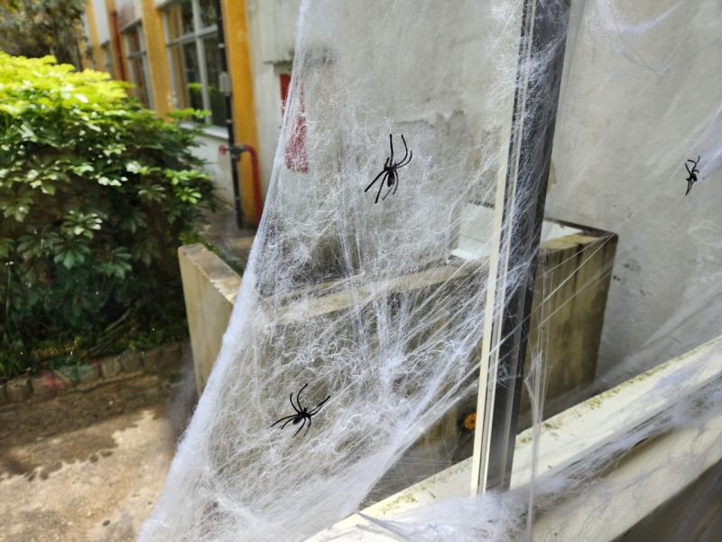 Prepara&ccedil;&atilde;o da FURB para o Halloween – Foto: I&aacute;scara Zultanski