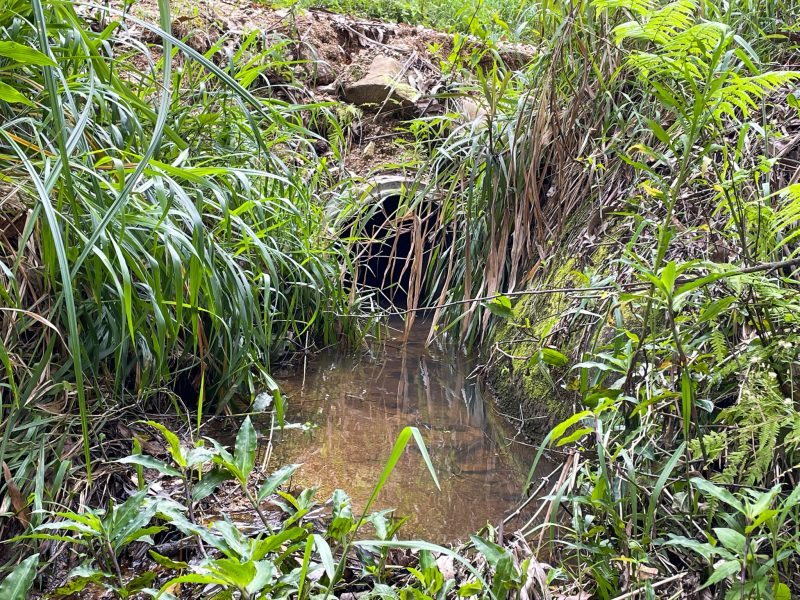 No interior, na cidade e nas empresas, ao todo, 15 milh&otilde;es de litros de esgoto in natura s&atilde;o jogados no rio diariamente – Foto: Kassia Salles/ND