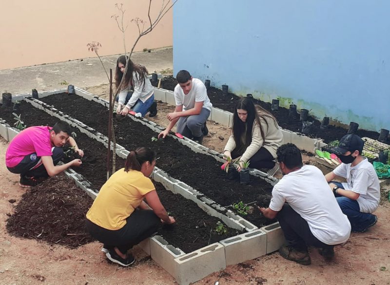 Florian&oacute;polis avan&ccedil;a na cria&ccedil;&atilde;o e intera&ccedil;&atilde;o com a comunidade por meio do Cultiva Floripa – Foto: Divulga&ccedil;&atilde;o
