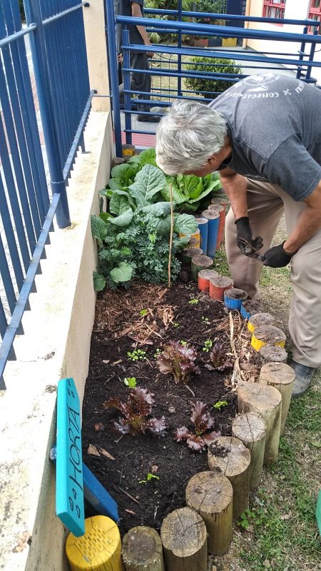 Hoje, cerca de 150 hortas s&atilde;o cultivadas na cidade, em escolas, centros de sa&uacute;de e comunidades, de acordo com munic&iacute;pio – Foto: Divulga&ccedil;&atilde;o