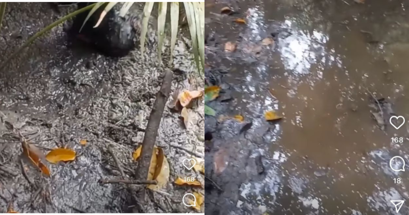 Vazamento de esgoto&nbsp; registrado na Lagoa da Concei&ccedil;&atilde;o – Foto: Bruno Negri/Reprodu&ccedil;&atilde;o/ND